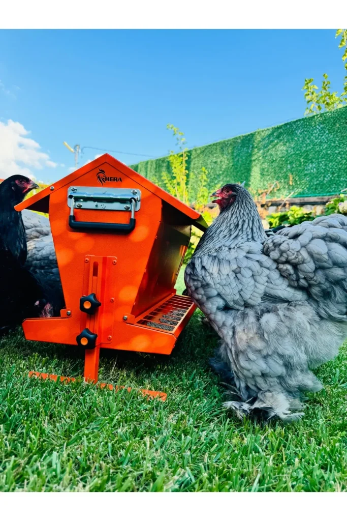 24 kg Kapasiteli Çatılı, Çift Taraflı Metal Tavuk Yemliği (Turuncu)