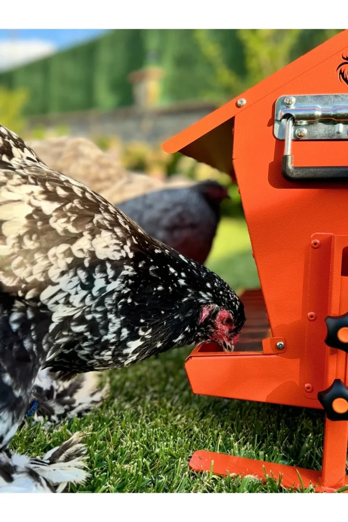 24 kg Kapasiteli Çatılı, Çift Taraflı Metal Tavuk Yemliği (Turuncu) - Görsel 3